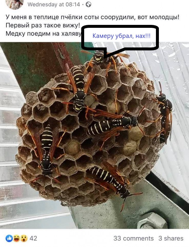 Неожиданная радость диванного эксперта