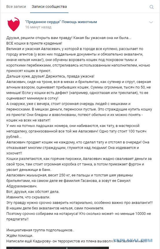 Помогите вернуть кота! Приют "Преданное сердце" украл кота и не отдает!-2
