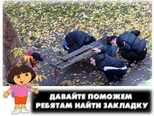 Бредзона в картинках 26.11.2019
