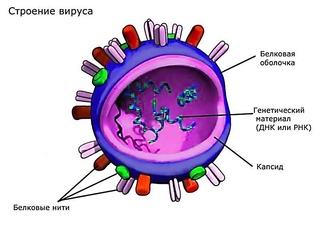 Чем же заняться во время карантина?