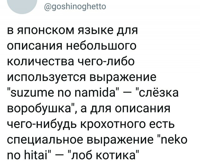 Свинегрет: картинки, надписи и прочее на 21.03 или №18