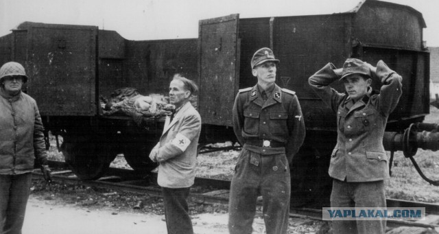 «Убивать пленных немцев — добро». 75 лет назад американцы вырезали охранников концлагеря Дахау