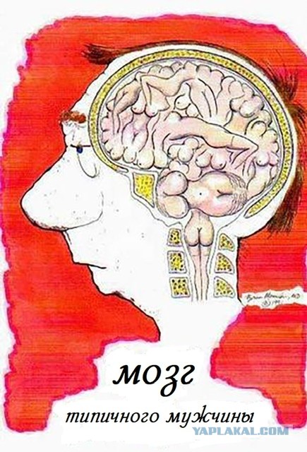 Немного мемов