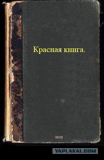 Фотожаба: учебник