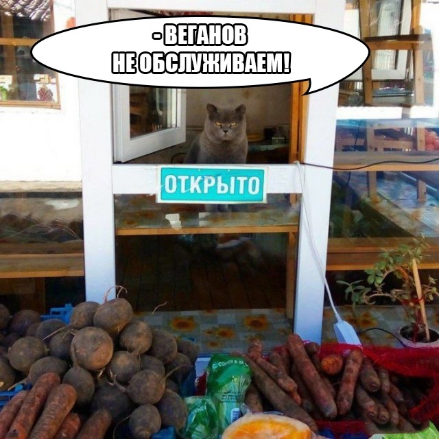 Чуток картинок 31.07.20