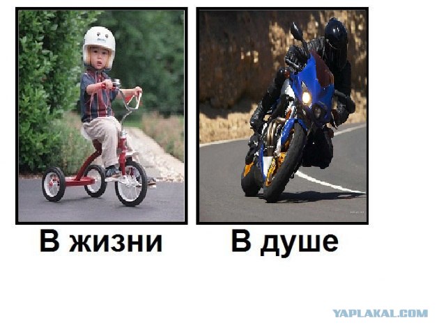 Кто есть кто?