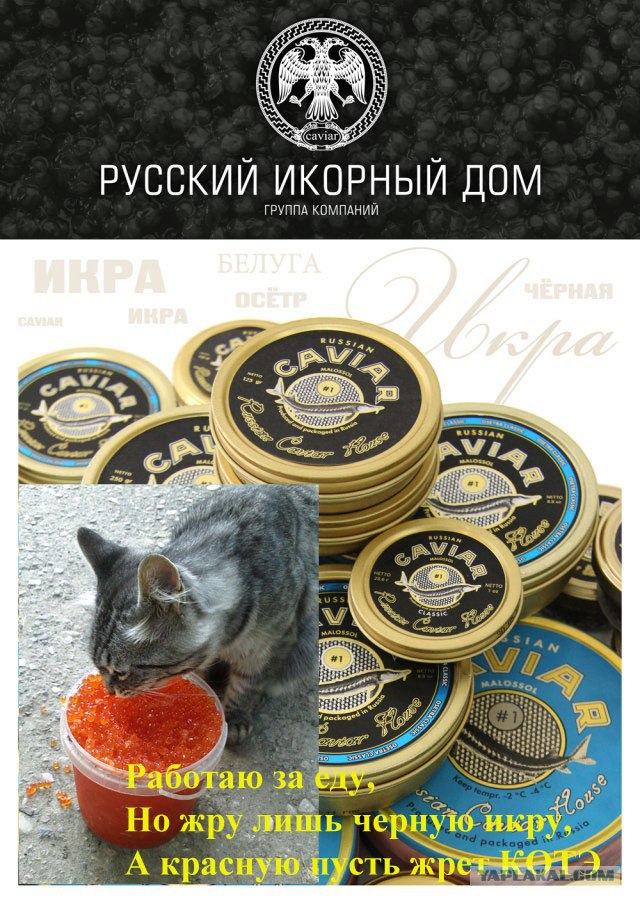 Выиграй 3кг черной икры!