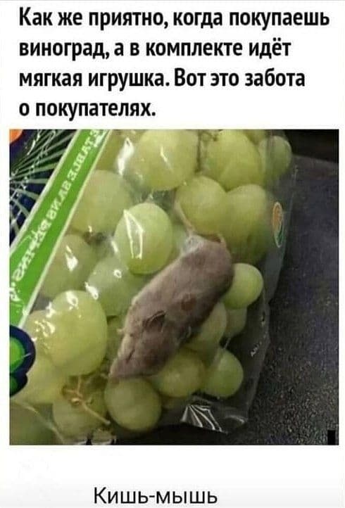 Картинки с надписями и всякие жизненные фразы 30.12.2020