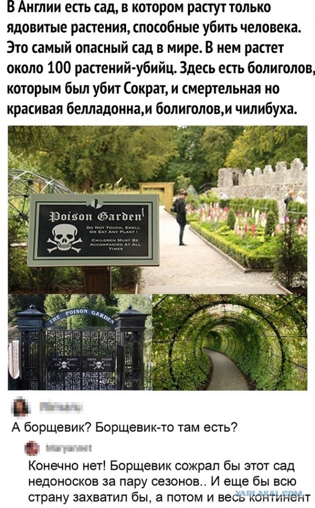 Картинки с надписями и всякие жизненные фразы 1.01.2021