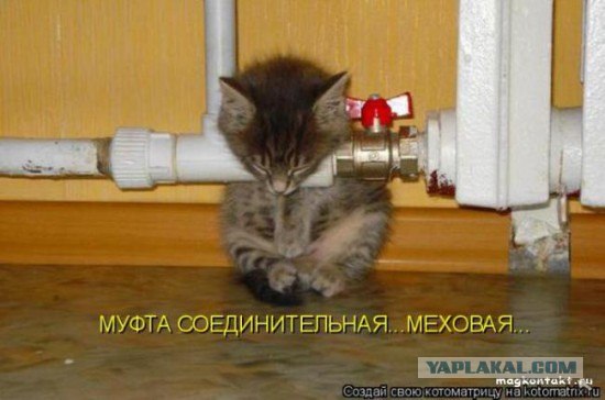 Засыпаю