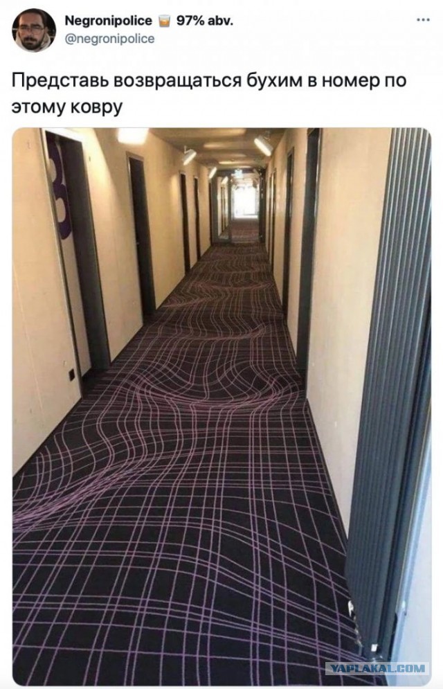 Картинки и мемы для настроения 23.02.21