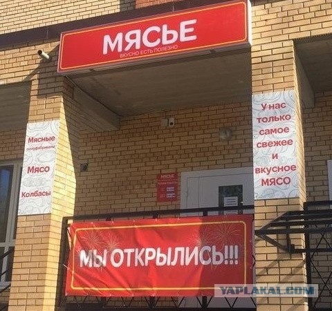 Так себе картинки 17.08.21