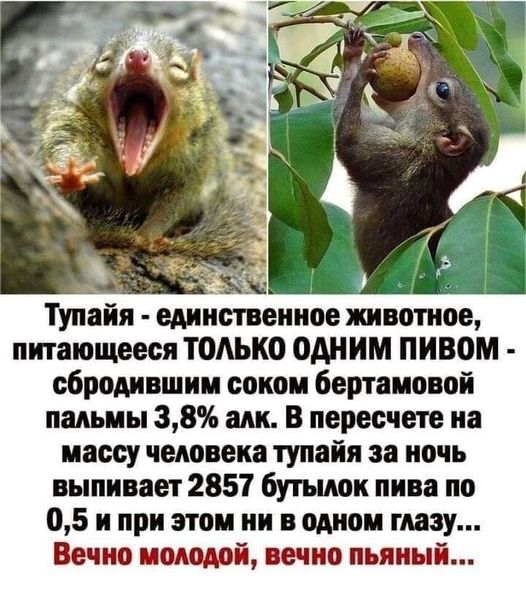 25 картинок с подписями для настроения 30.09