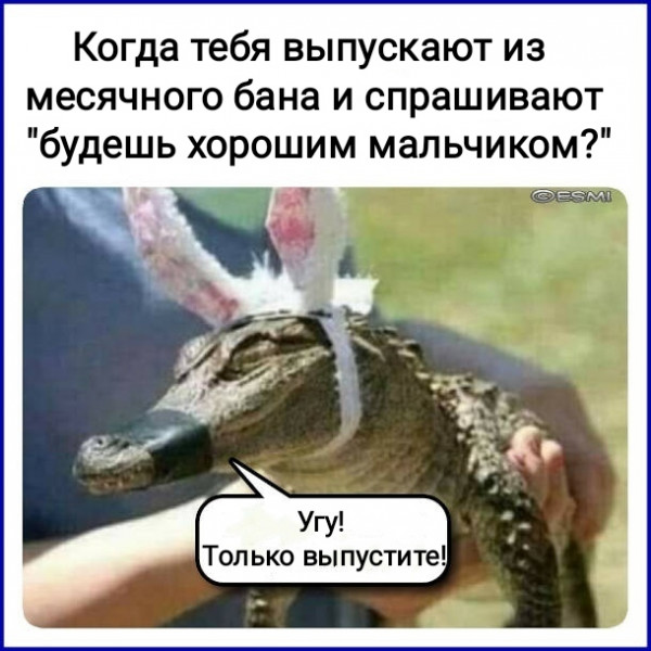 Всяческие картинки 24.11.2021