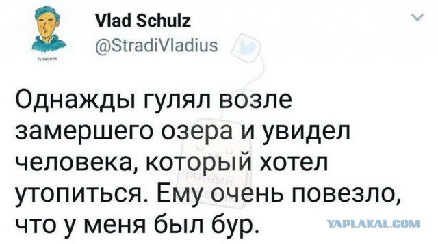 Картинки и мемы для настроения