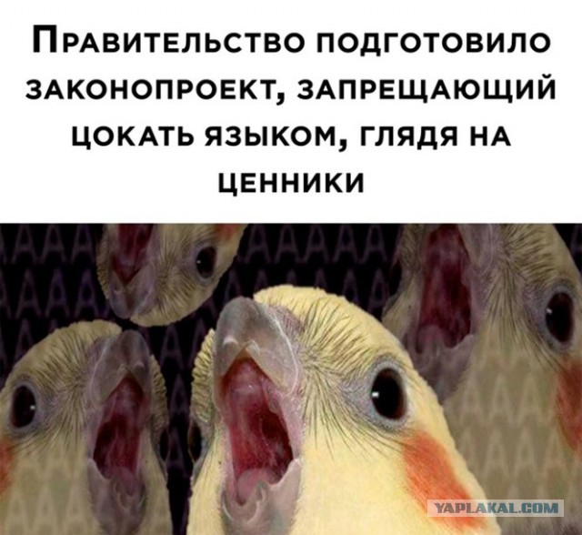 Мерри кристмас, ёпта!
