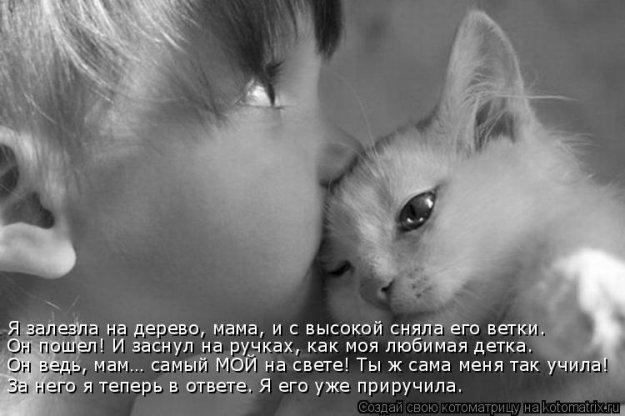 Так себе картинки 23.02.22