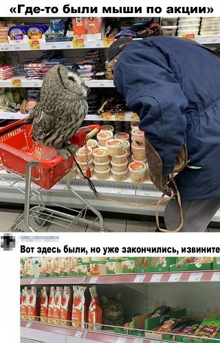 С понедельником Вас, дорогие деграданты