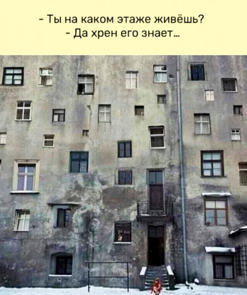 Весёлый полтишок 29.06.22