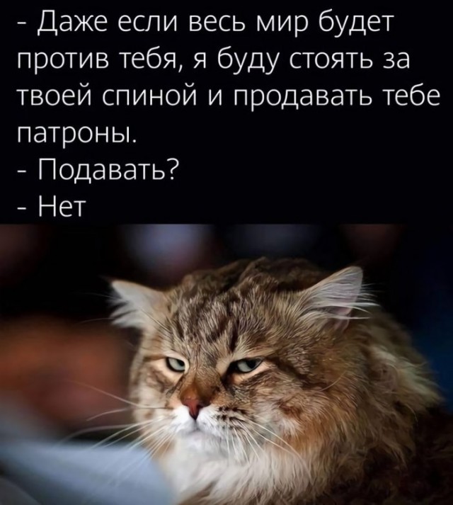 Картинки и мемы. Выходные близко, близко...