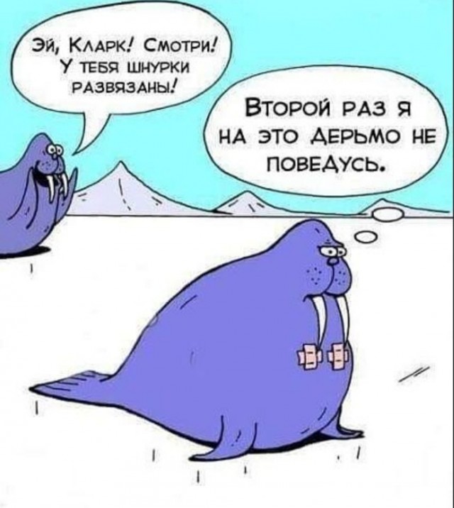 Весёлый полтишок 21.12.2022