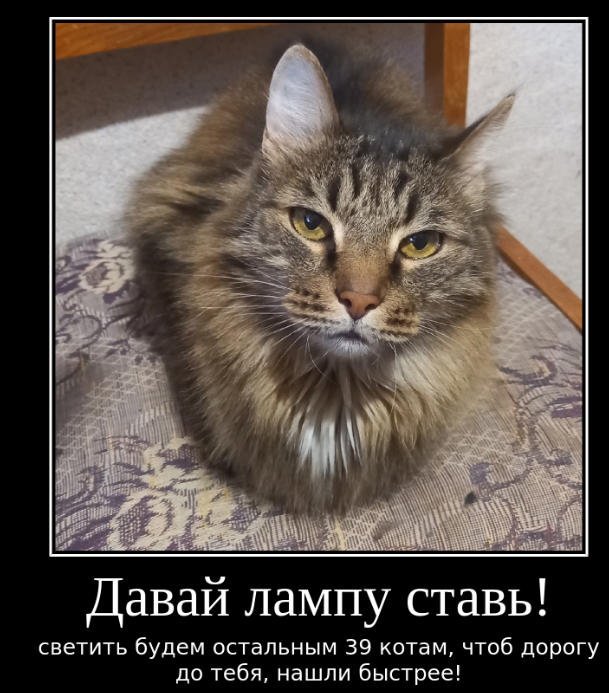 Обращение к женщинам: почему мужчины не хотят жениться