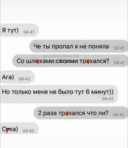Весёлый полтишок 29.08.23