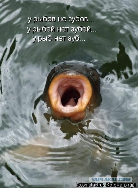 Картинки и буквы