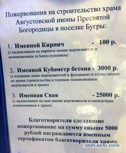 Перлы 02.11.23