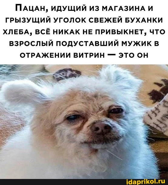 Их тут нет