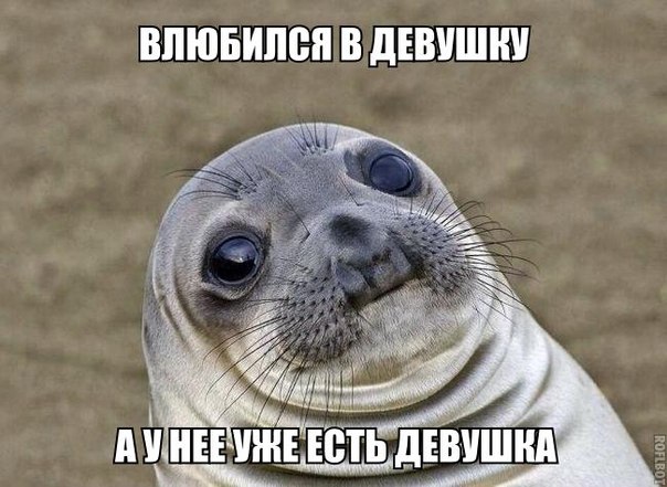 Бояны 10-ти летней выдержки