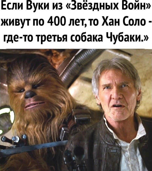 Всего понемногу. От 15.12.23
