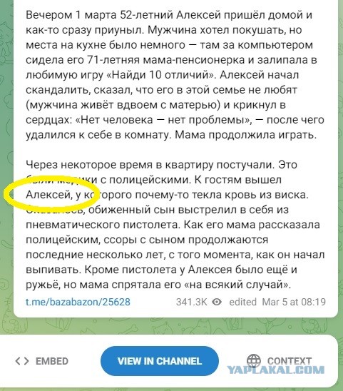 Молодой человек из Москвы выстрелил себе в голову из пистолета, потому что его мама слишком часто играла в компьютер