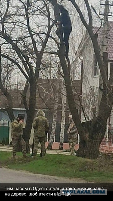 «Понаехало мрази всякой…»