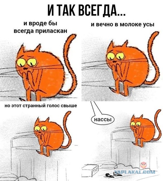 Еще раз про валенки