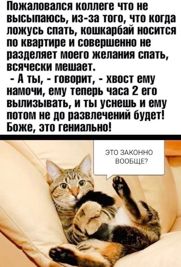 Так себе картинки 18.04.24