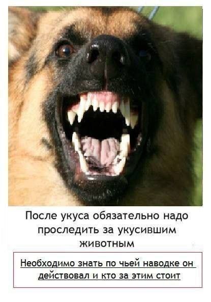 Всего понемногу. От 16.05.2024