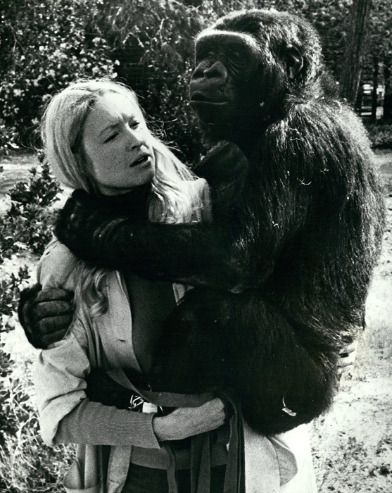 Смешал, но не взбалтывал: 16.06.24.