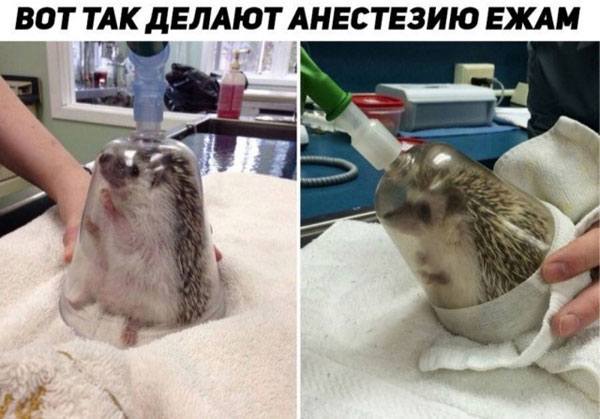Последняя пятница на этой неделе, господа