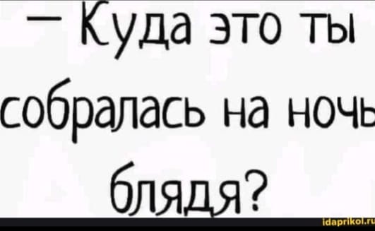 Весёлый полтишок 22.07 24