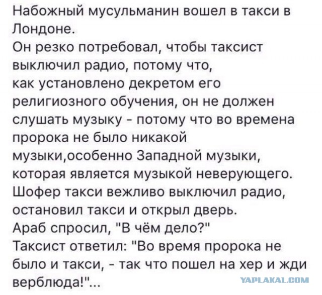 Нуштош 21.10.2024