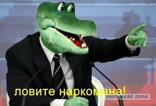 Крокодильчик)