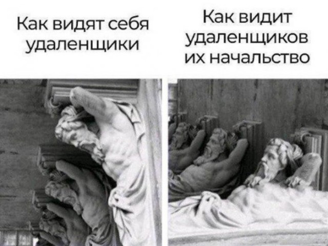 Отборные баяны 10-летней выдержки - IT & Programmer edition
