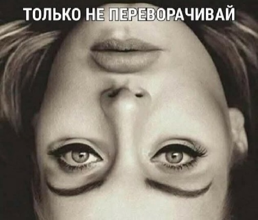 Работа не волк