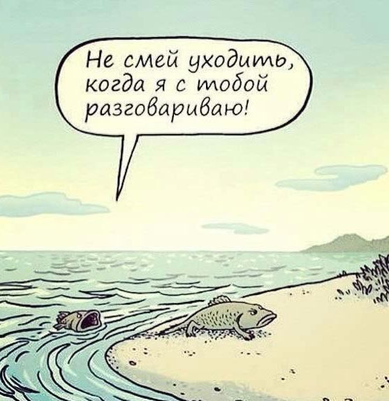 Когда нечего терять...