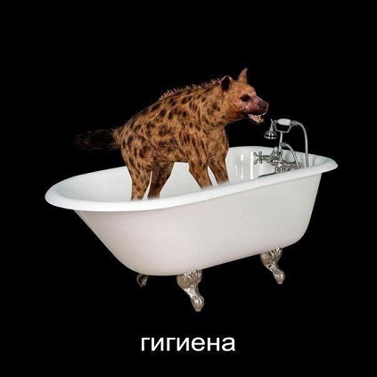 Здесь кто-то курит?