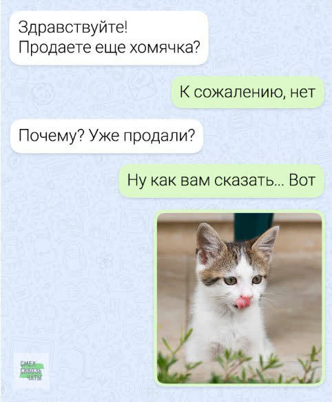 Веселые картинки в маленькую пятницу (20.08)