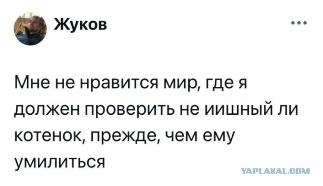 Когда подстригла мама