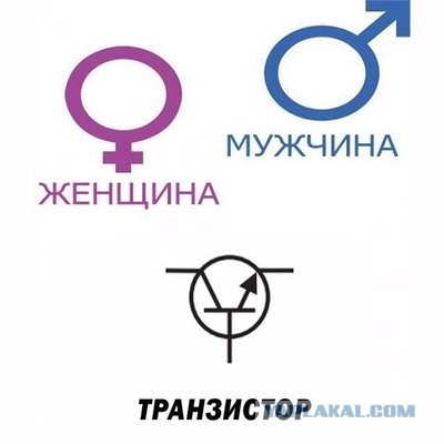 Так себе картинки 21.10.25