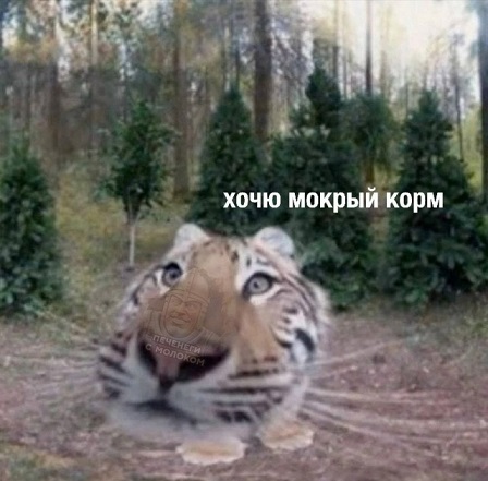 Отличного дня!